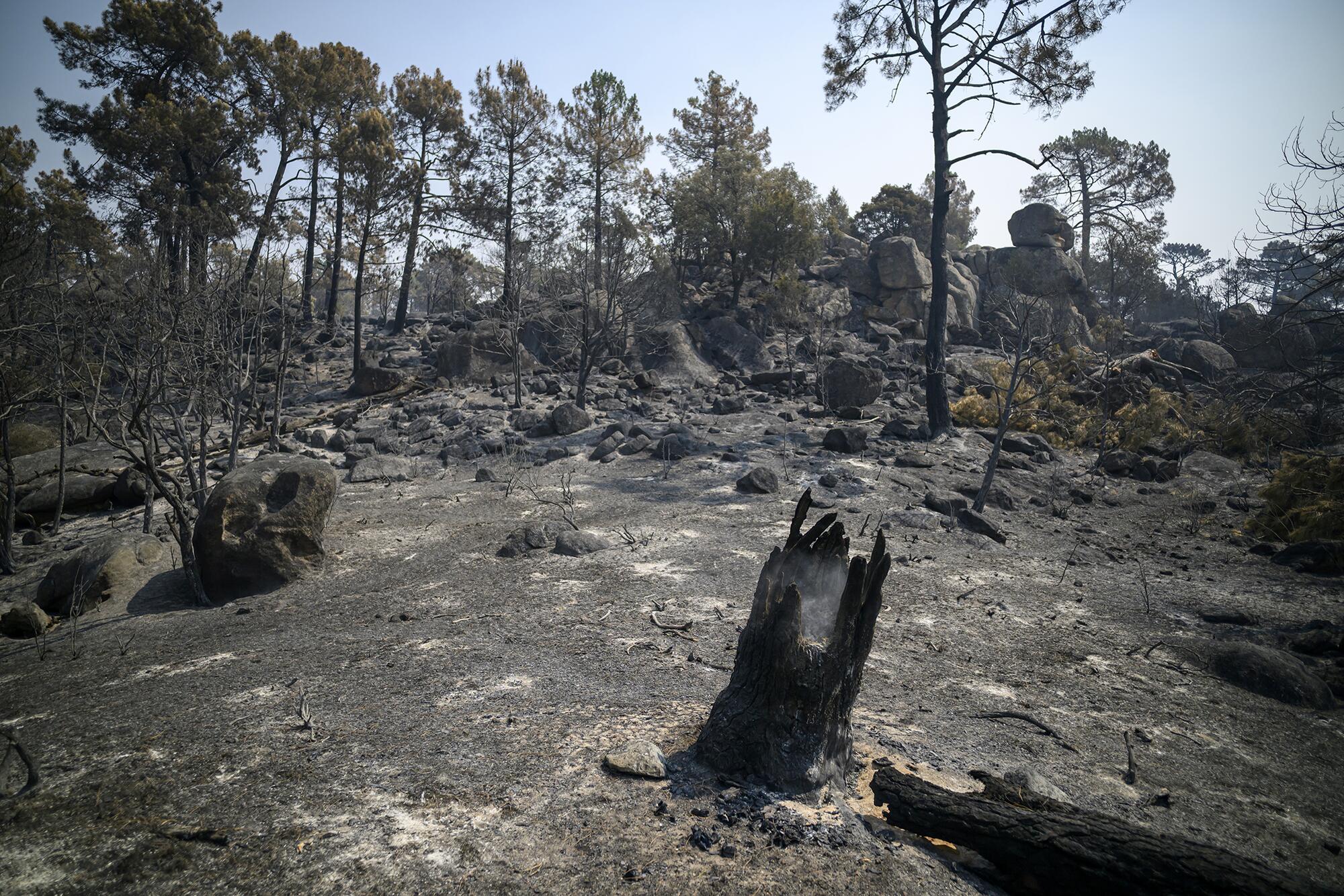 Incendio Navaluenga - 9